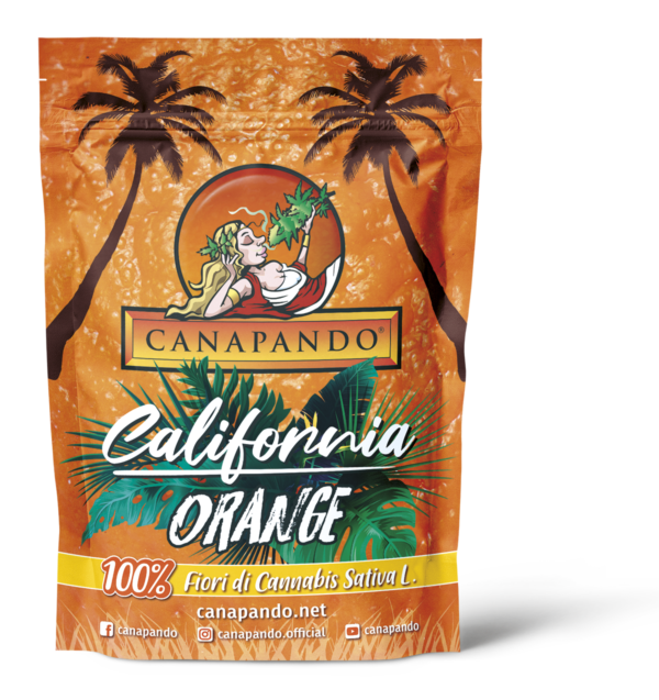 CALIFORNIA-ORANGE-1