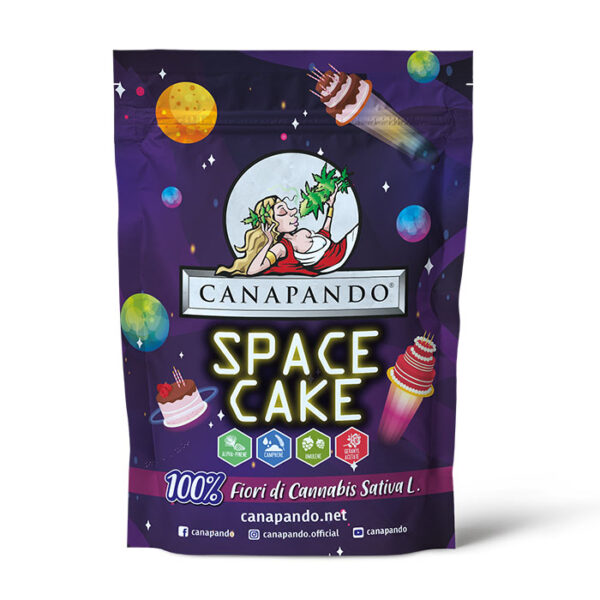 space-cake