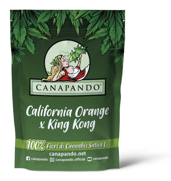 LIMITED EDITION_VERDE_CALIFORNIA x KING KONG