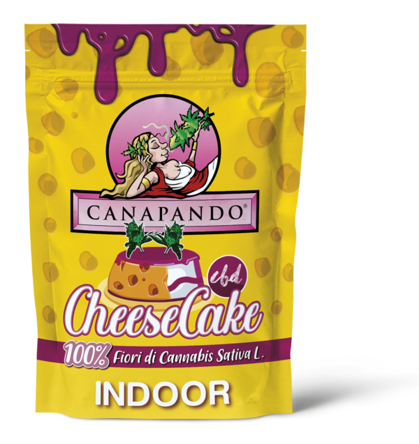 CHEESE CAKE CBD__INDOOR